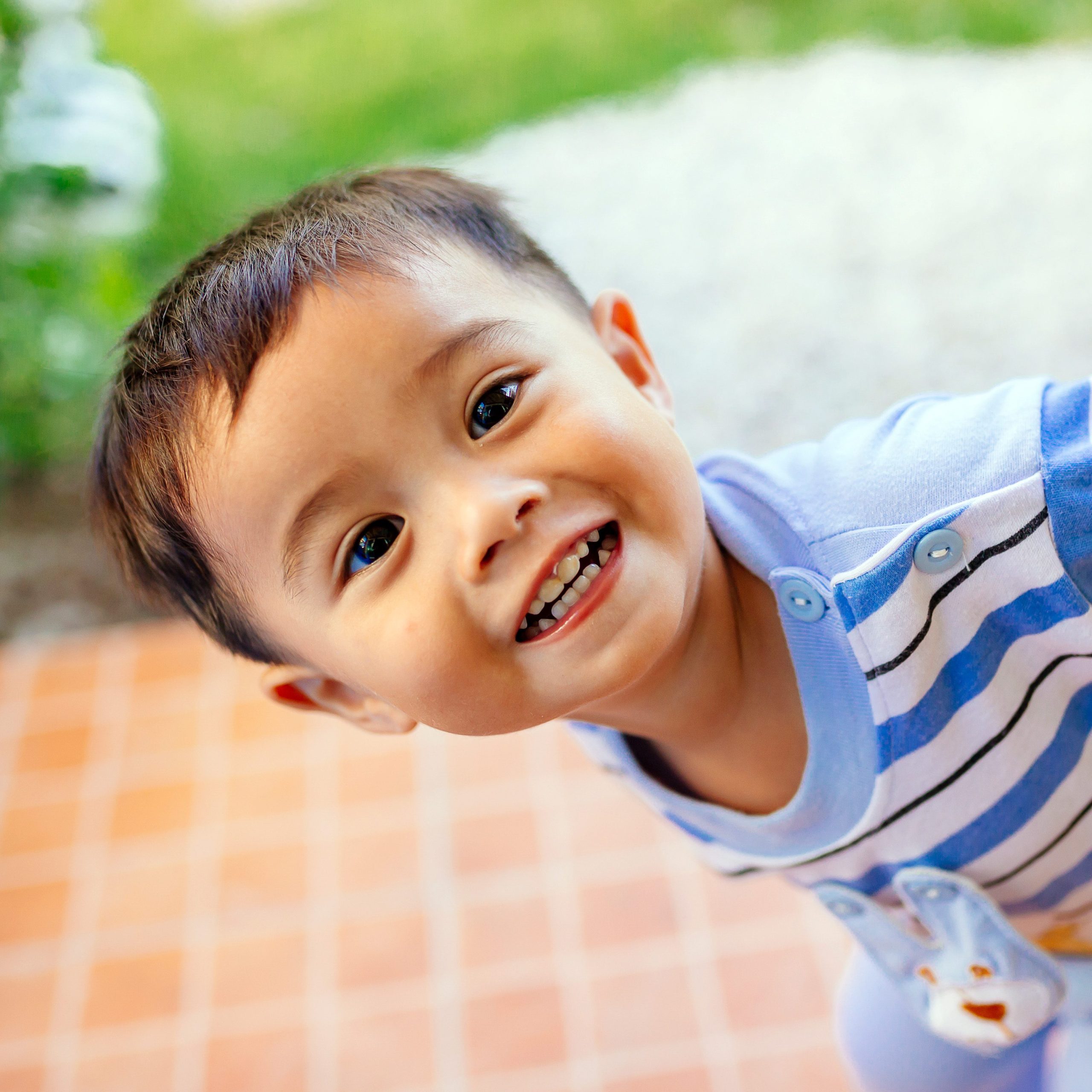 Toddler’s Short Crop